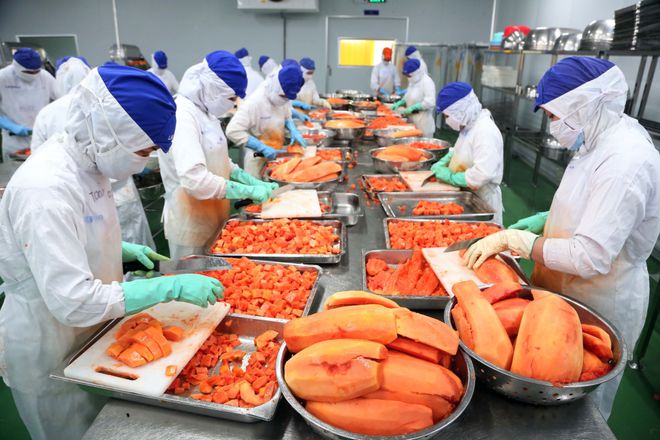 越南水果过剩悖论,加工工厂居然还"缺"原材料|农产品|蔬菜